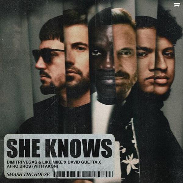 Dimitri Vegas & Like Mike - She Knows (with Akon)